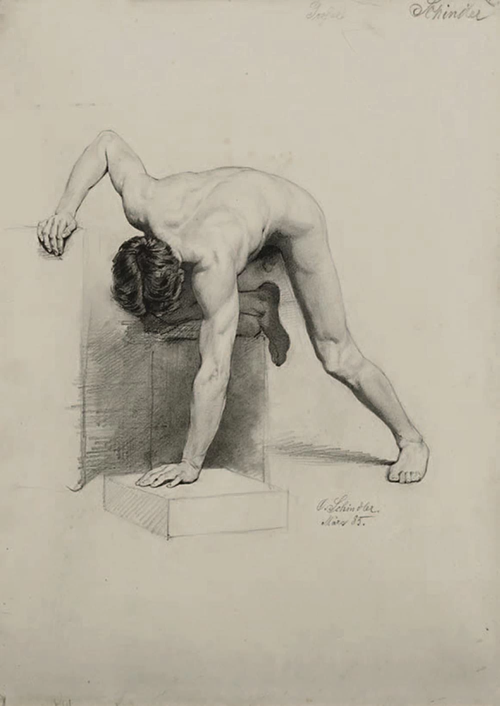 Studio di uomo